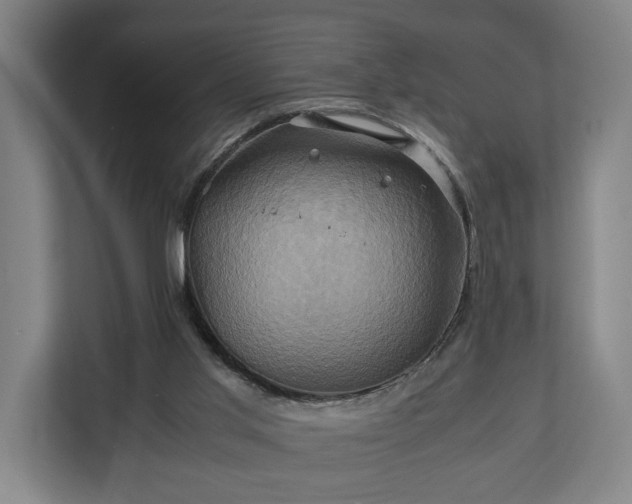 X0000110970013200906261418