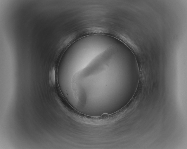 X0000110970014200906261418