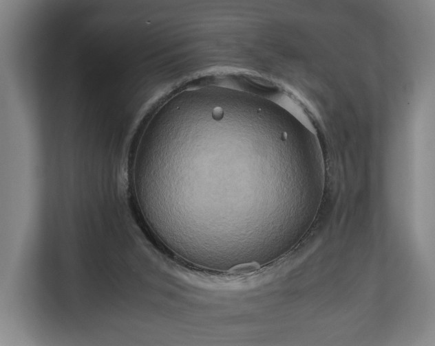 X0000110970015200906261418