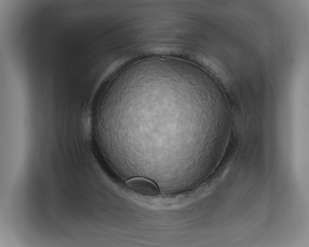 X0000110970016200906261418