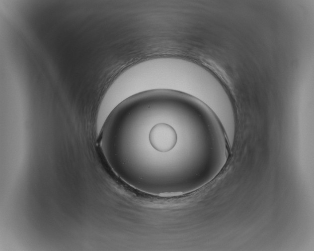 X0000110970017200906261418