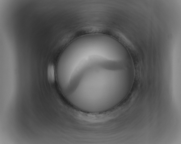 X0000110970022200906261418