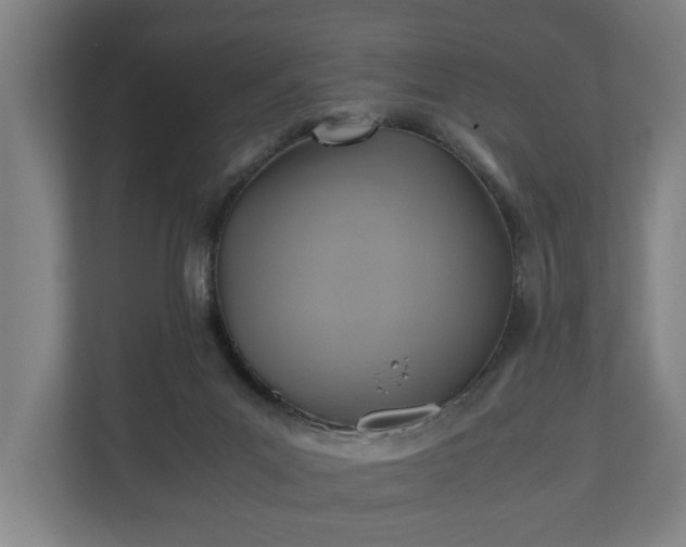 X0000110970023200906261418