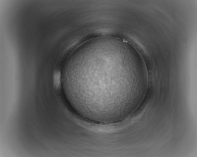 X0000110970024200906261418