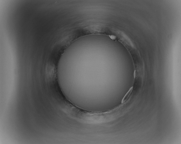 X0000110970029200906261418