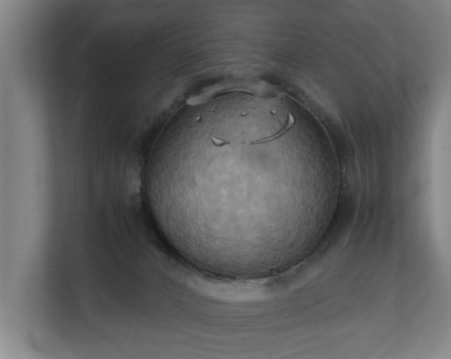 X0000110970032200906261418