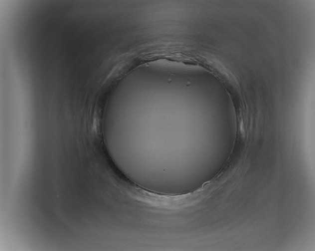 X0000110970035200906261418