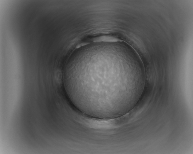 X0000110970036200906261418