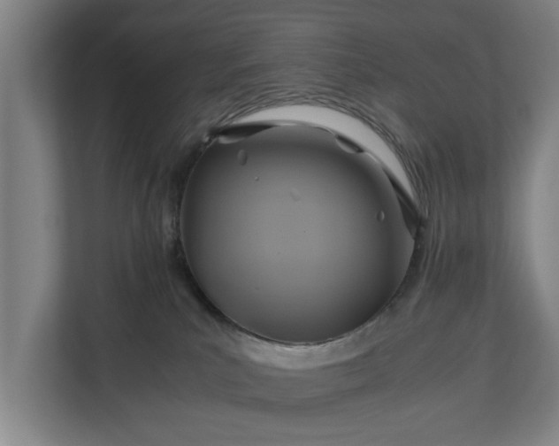 X0000110970039200906261418