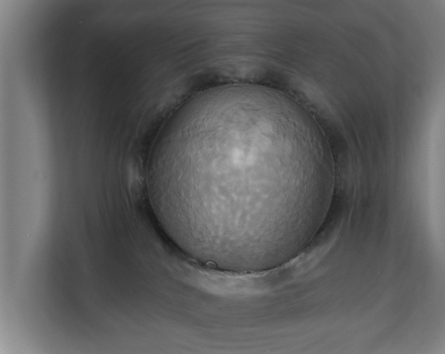 X0000110970040200906261418