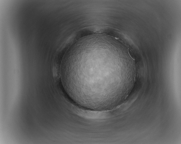 X0000110970044200906261418