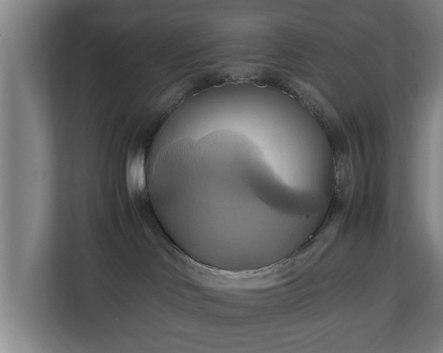 X0000110970046200906261418