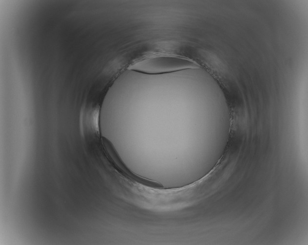 X0000110970047200906261418