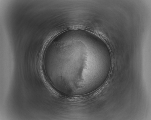 X0000110970049200906261417