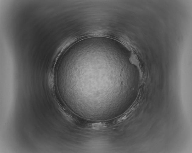 X0000110970050200906261417