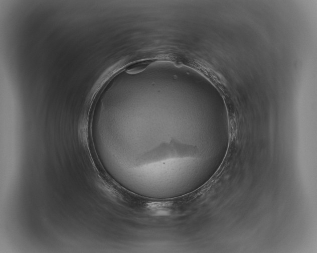 X0000110970051200906261417