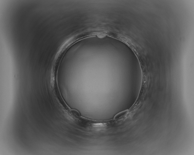 X0000110970053200906261417