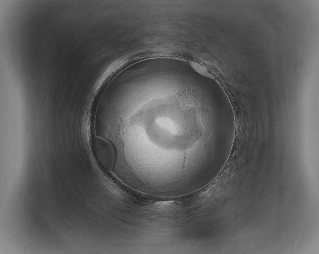 X0000110970054200906261417