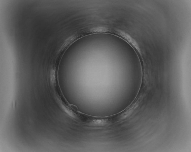 X0000110970057200906261417