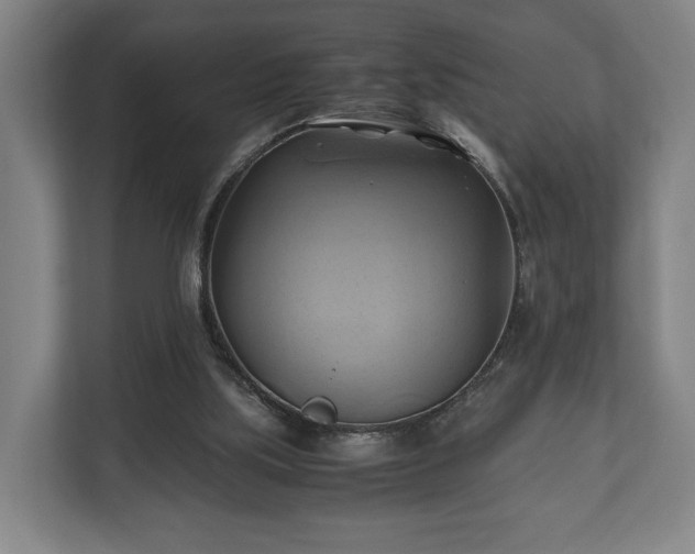 X0000110970059200906261417