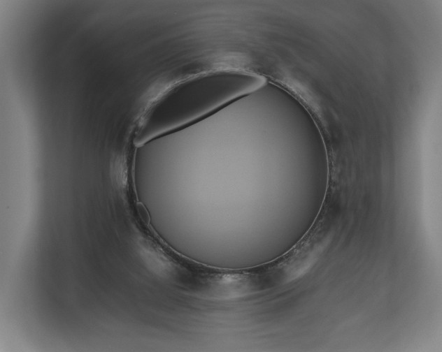 X0000110970060200906261417