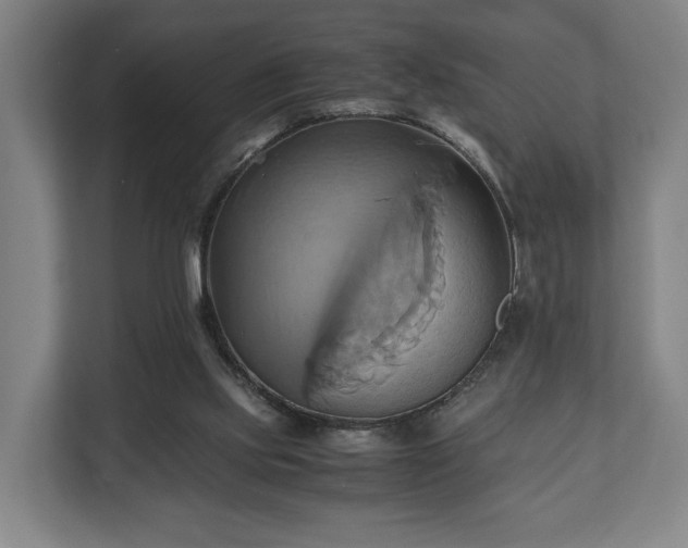 X0000110970061200906261417