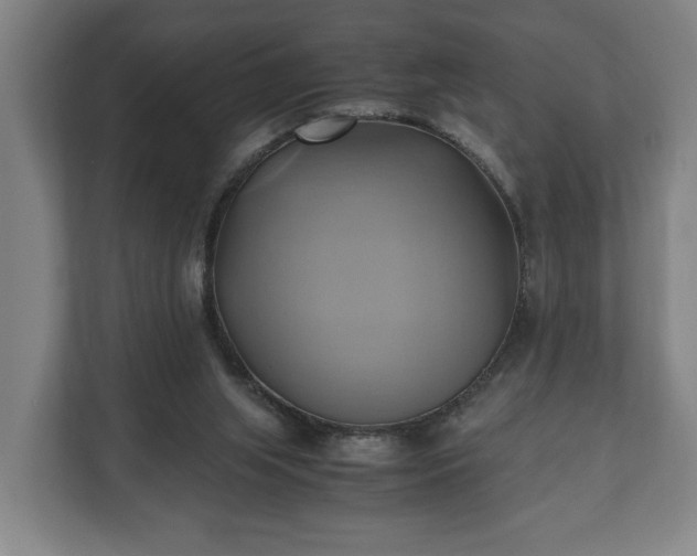 X0000110970063200906261417