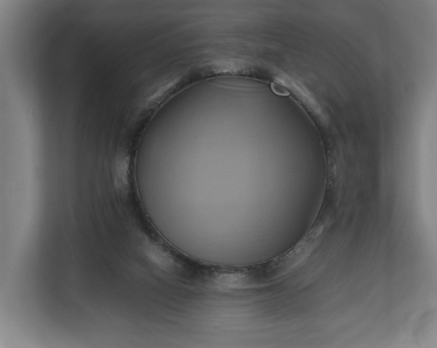 X0000110970066200906261417