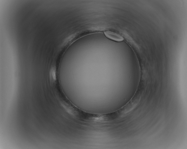 X0000110970068200906261417