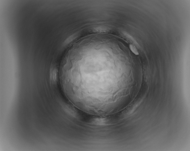 X0000110970071200906261417