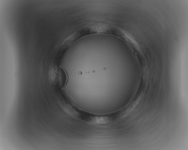 X0000110970073200906261417