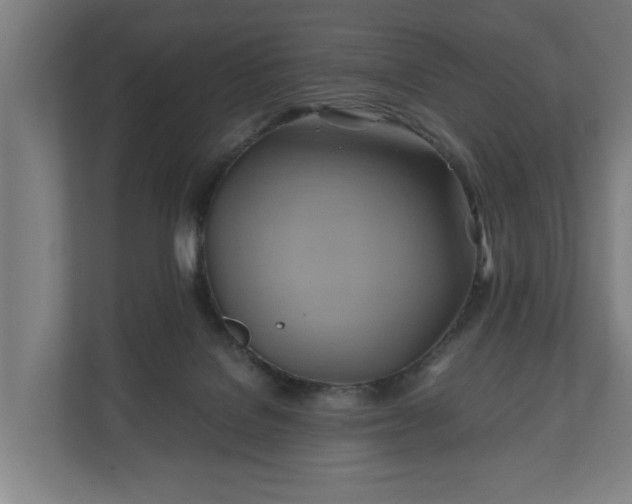 X0000110970076200906261417