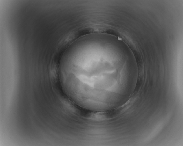 X0000110970078200906261417