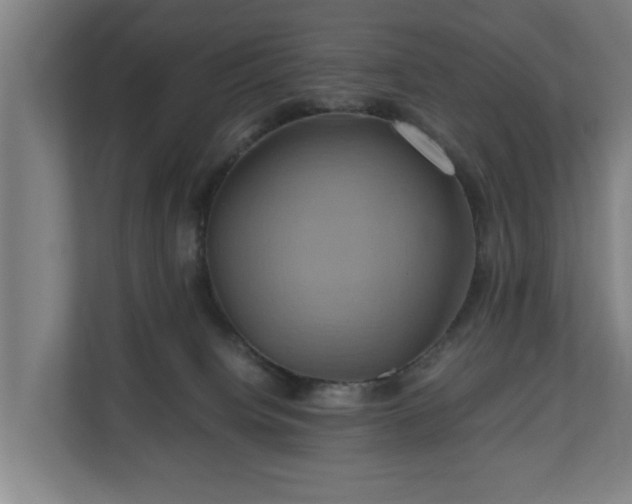 X0000110970084200906261417