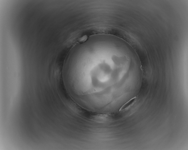 X0000110970086200906261418