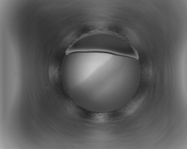 X0000110970088200906261418