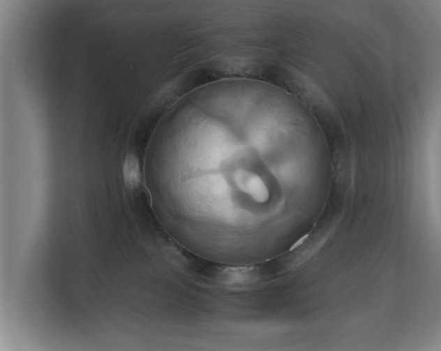 X0000110970089200906261418