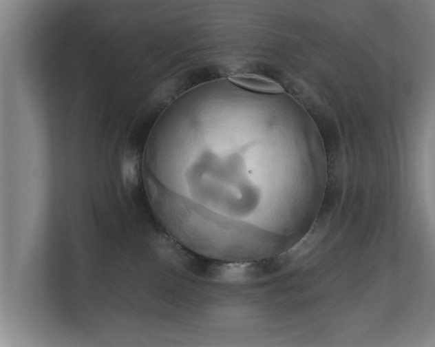 X0000110970090200906261418