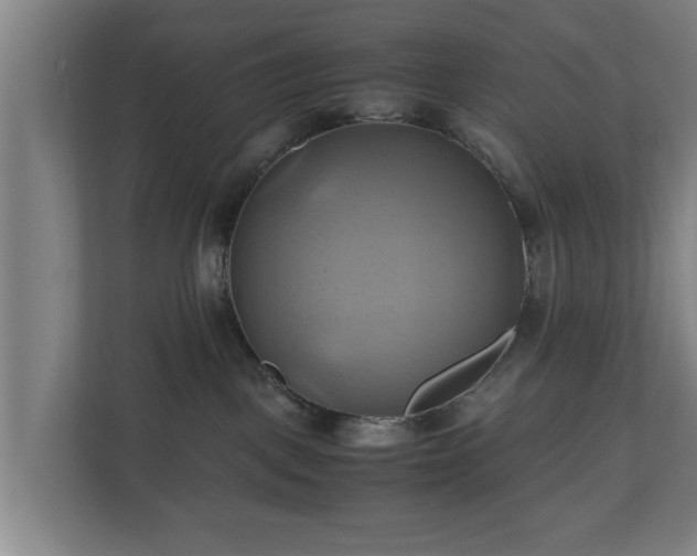 X0000110970093200906261418