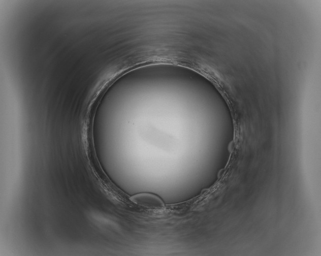 X0000110970098200906261417