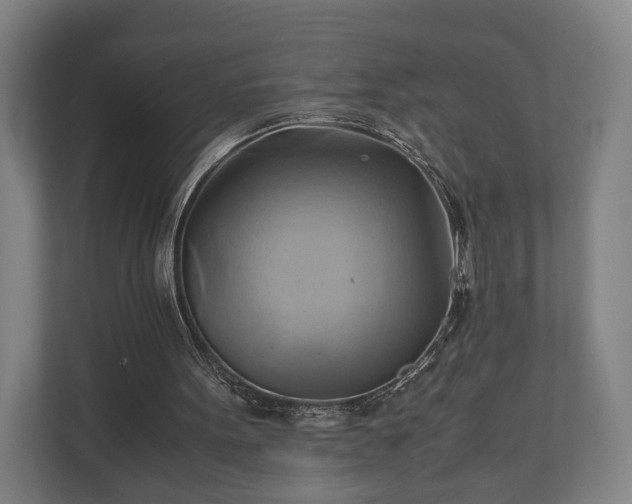 X0000110970099200906261417