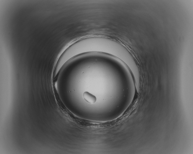 X0000110970100200906261417