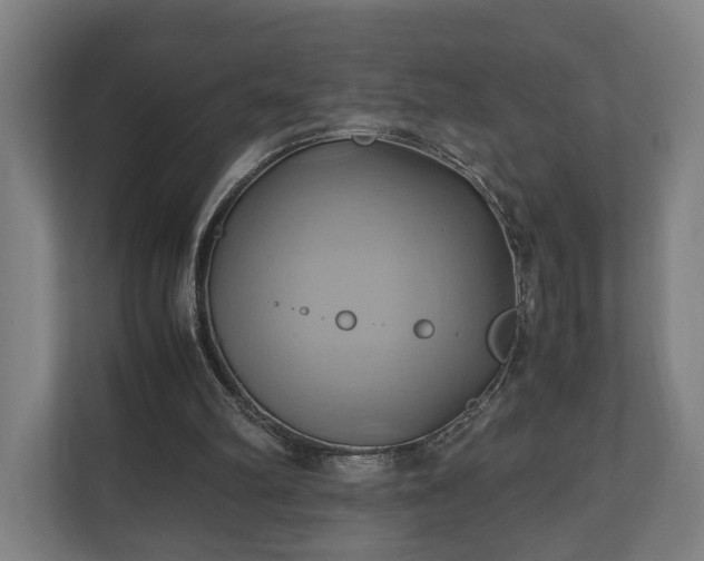 X0000110970102200906261417