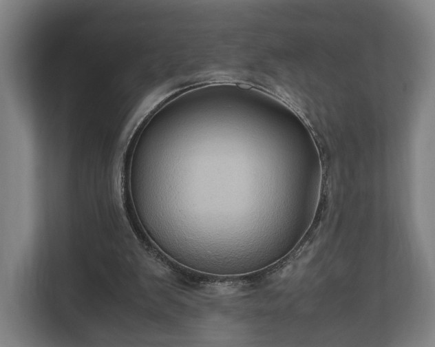 X0000110970103200906261417