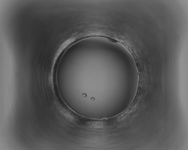 X0000110970104200906261417