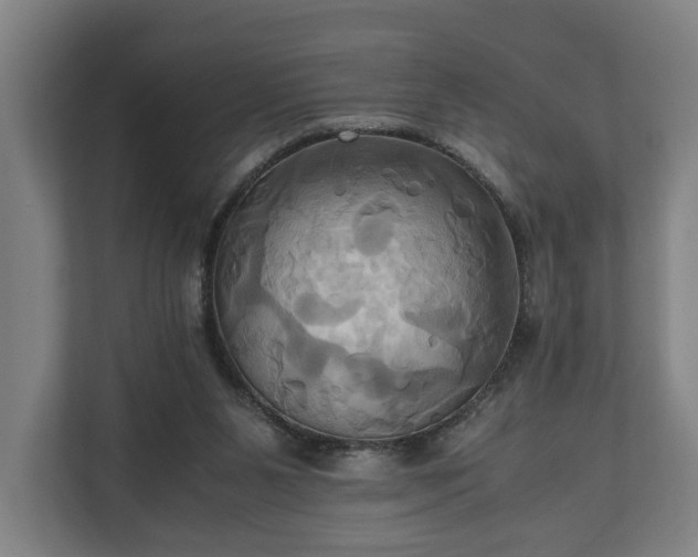 X0000110970111200906261417