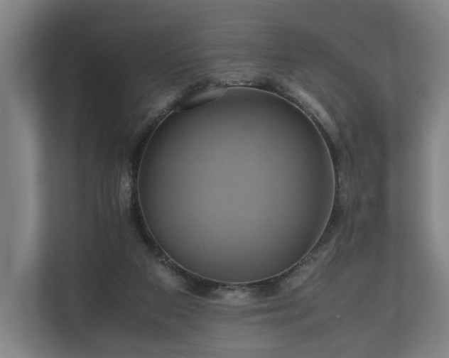 X0000110970113200906261417