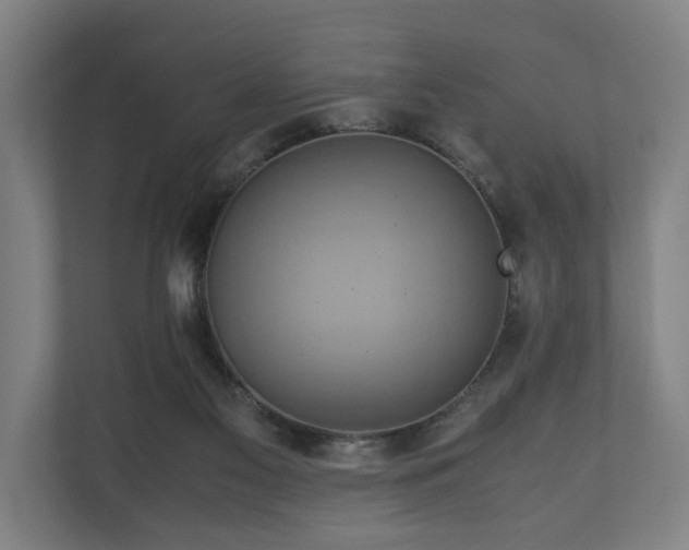 X0000110970117200906261417