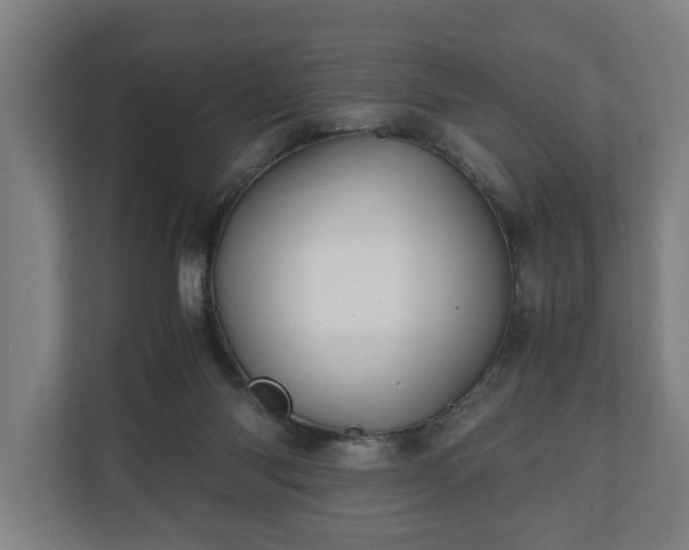 X0000110970118200906261417