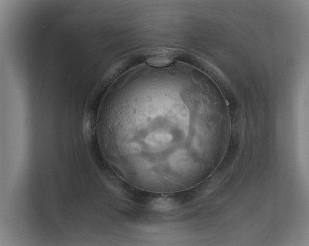 X0000110970119200906261417